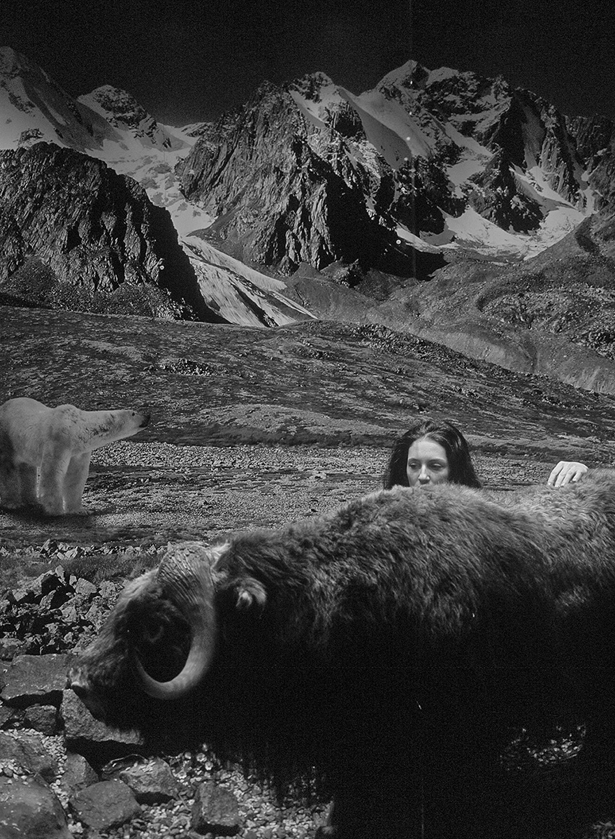 Tribute to Hiroshi Sugimoto, 2016